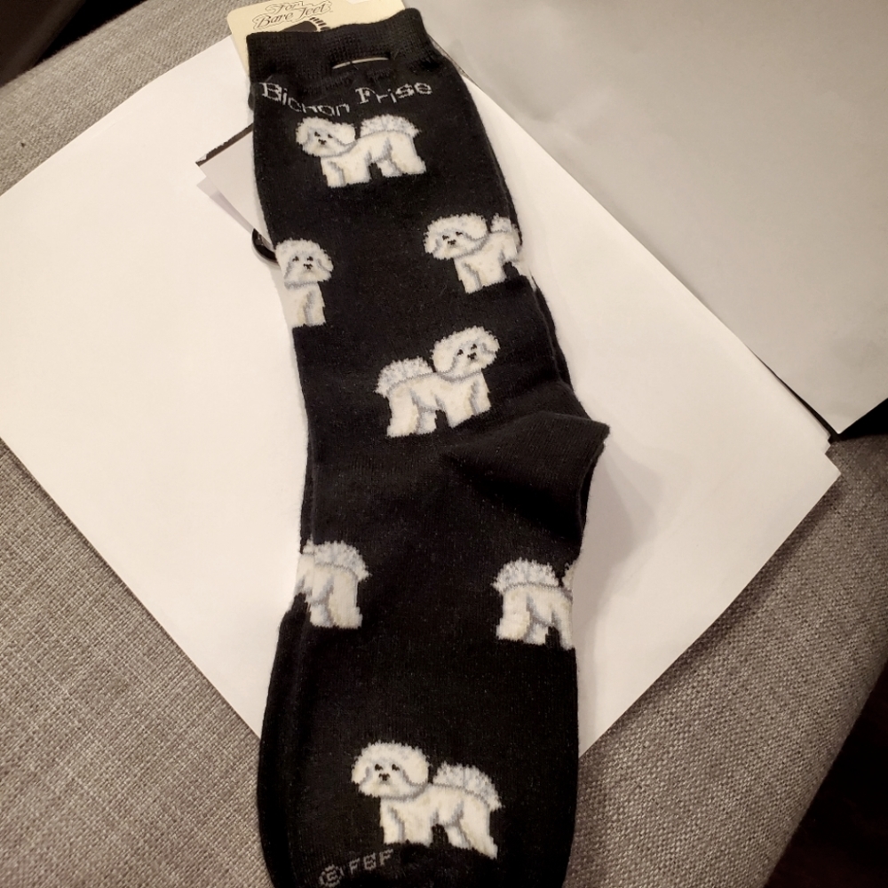Bischon frise novelty socks, sz med